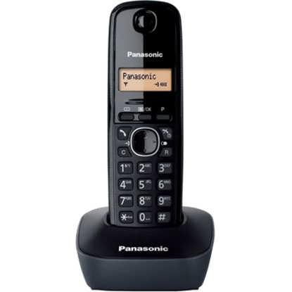 تصویر از تلفن بی سیم پاناسونیک مدل KX-TG1611 Panasonic KX-TG1611 Cordless Phone