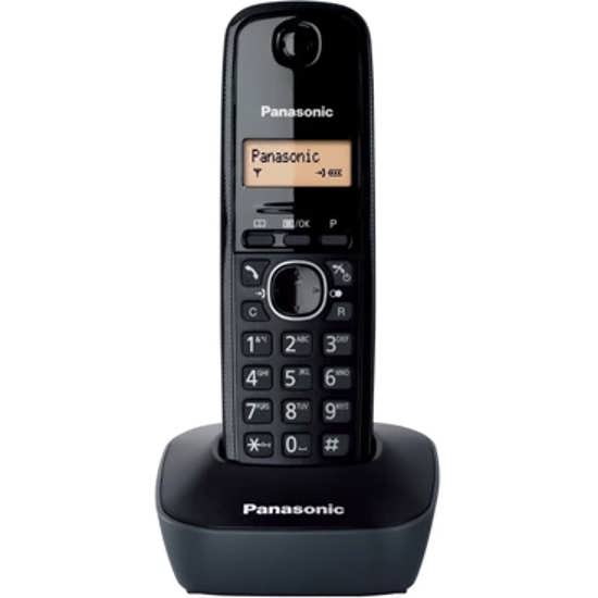 تصویر از تلفن بی سیم پاناسونیک مدل KX-TG1611 Panasonic KX-TG1611 Cordless Phone